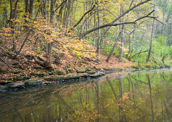 The waters of a secluded stream flow quietly through a landscape of autumn colors in a Midwest woodland.