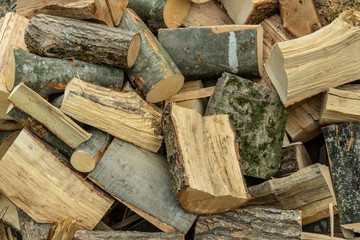 stack of firewood beech and hornbeam, northern balkans
