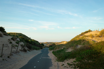 the road in the dunes 