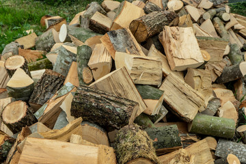 stack of firewood beech and hornbeam, northern balkans