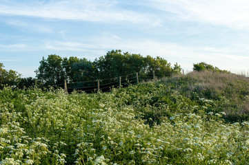 Naklejka premium Evening in the village 