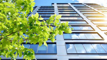 Eco building in modern city concept. Modern office building with the fresh green leaves. 