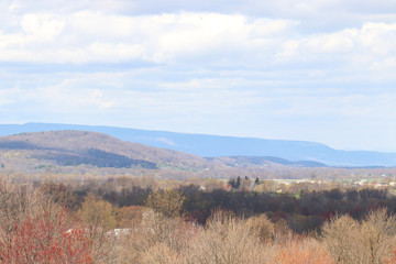 fields and blue mountains in the distance with white puffy clouds in the sky