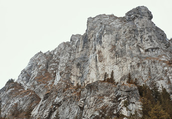 Fototapeta na wymiar High rocky mountain covered with spruce