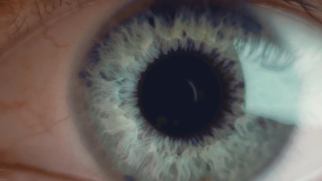 Extra macro shot of man's opening eye with blue iris and big black tapering pupil when exposed to light. Healthy eyesight and vision problems concept. Slow motion front view close up video in 4K.