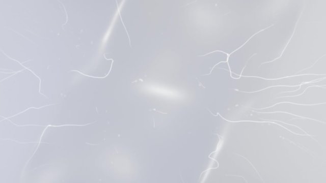 Abstract clean line background loop. Version 3