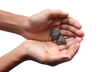 Close up butterfly on young man hand isolated on white