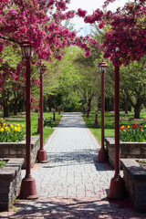 pathway at a public arboretum in orange county NY during spring of 2020