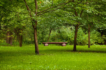 Old wooden bench among lush green trees and green grass in a nature Park.