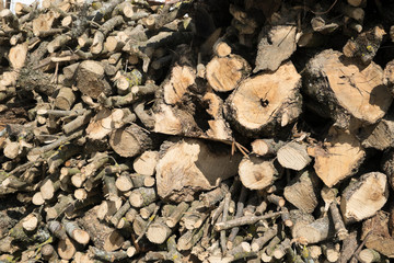 close up of a pile of firewood