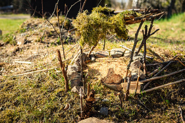 Wald Holz Kinder Spa&szlig;