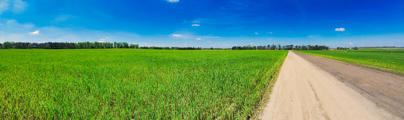 Wiejskie tereny. Pola uprawne