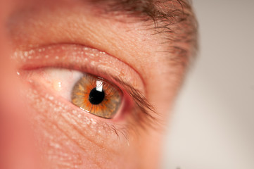 Close up of a man's eye ball