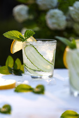 Summer refreshing cocktail with cucumber, lemon, peppermint and ice. Vitamin Shake - Sassi Water