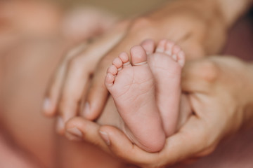 legs, feet of a newborn baby in the hands of parents