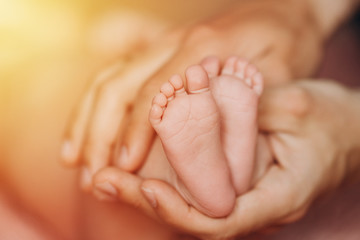 legs, feet of a newborn baby in the hands of parents