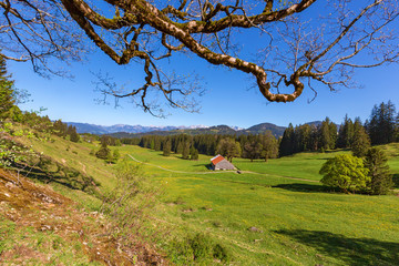 Allgäu - Alpe - Tal - Wandern - Frühling - Panorama