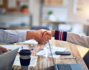Two middle age business workers smiling happy and confident. Working together with smile on face using laptop doing handsake at the office