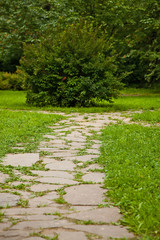 Stone path, partially overgrown with green grass and leading through a clearing into the forest