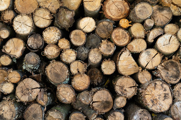 Stack of wood near fireplace