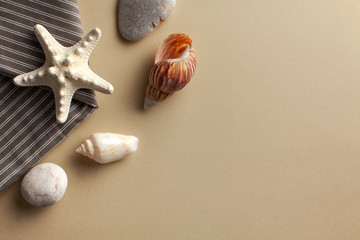 Flatlay with starfish and shells on a color background. The concept of travel, vacation by the sea. Copy space