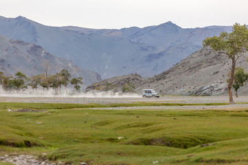 a large cloud of road dust behind a car racing across the steppe.