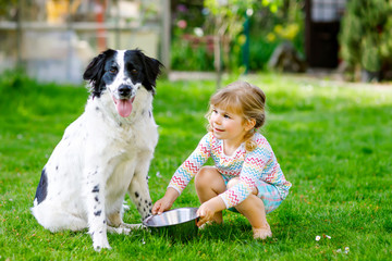 Cute little toddler girl playing with family dog in garden. Happy smiling child having fun with dog, hugging playing with ball. Happy family outdoors. Friendship between animal and kids