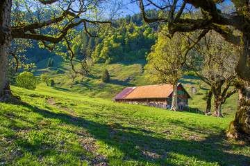 Alpe - Allgäu - Tal - Frühling - Berge