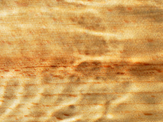 Abstract wooden background. Beautiful shadows on a wet wooden surface.