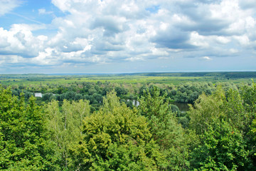 Obraz premium Natural landscape from bird's-eye view. sea of greenery growing along the river