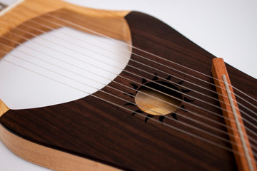 stringed lyre musical instrument