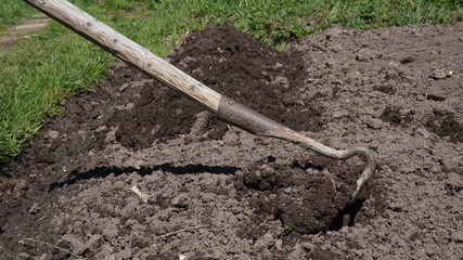 planting a garden. making beds with a hoe. chernozem