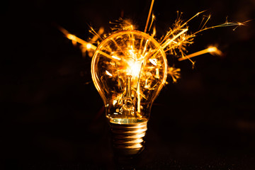 Light Bulb 