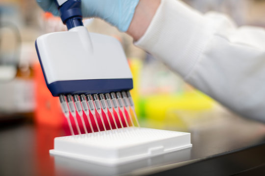 Close up of multi channel pipette in a life science lab