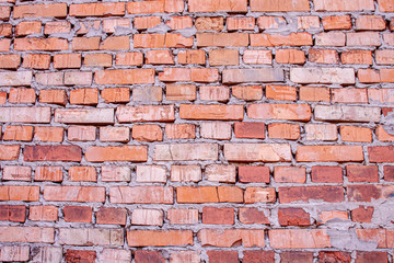 Fototapeta premium brick wall background