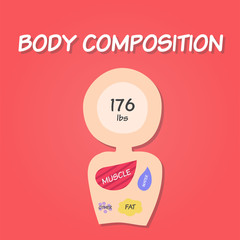 Weighing scales in the imperial/British system with body composition (muscle, fat, water, and others) inside it. Concept of fat loss, diet.
