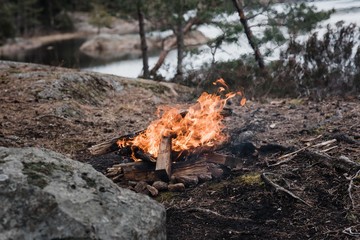 wild campfire next to the water in a national park in Sweden