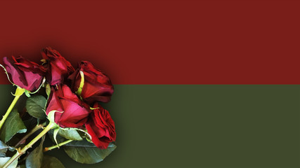 Huge bouquet of beautiful red roses on red olive background for mockups, templates, flyers, posters, stories. Horizontal align