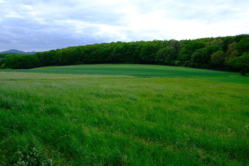 Obraz premium Landschaft