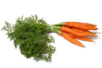 fresh organic carrots