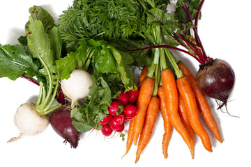 fresh organic vegetable roots © Mauro Rodrigues