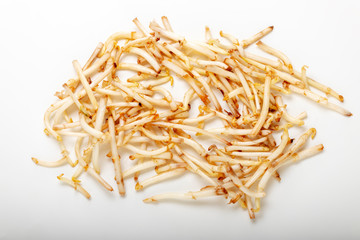 closeup of a head of hop asparagus