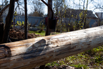 processing of logs with a gas burner. woodwork.