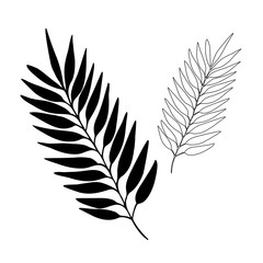 Obraz premium Hand drown abstract sprigs silhouette. Black and white floral outline vector illustration. Decorative branches. Spring and summer leaves icons collection. Doodle style.