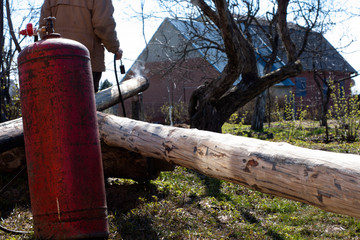 processing of logs with a gas burner. woodwork.