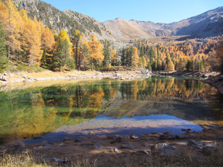 View of the Lago the Cirmoli - Zirmtalsee in autumn, the little alpine lake is surrunded by very colorful pinus cembra - Swiss pines