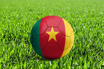 Cameroon Flag on Soccer Ball