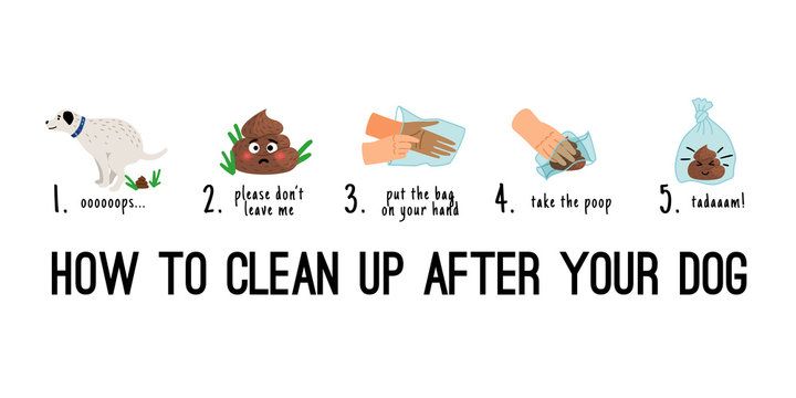 Dog Poo Clean Up. Dogs Poop Pick Up On Bag Steps Infographics, Pet Toilet Waste Litter Cleaning Cartoon Vector Illustration