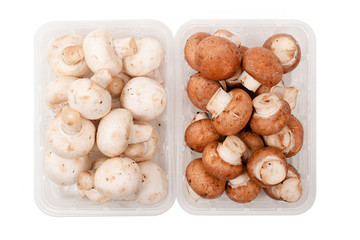 white and brown mushrooms
