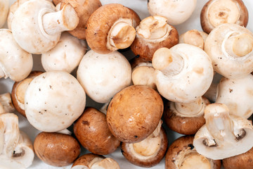 white and brown mushrooms